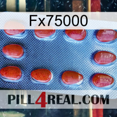 Fx75000 06